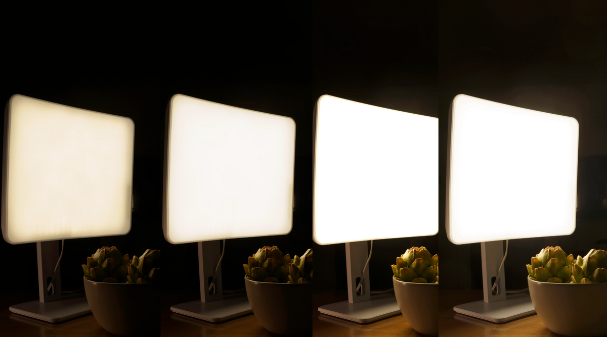 Carex Day-Light Elite Light Therapy Lamp