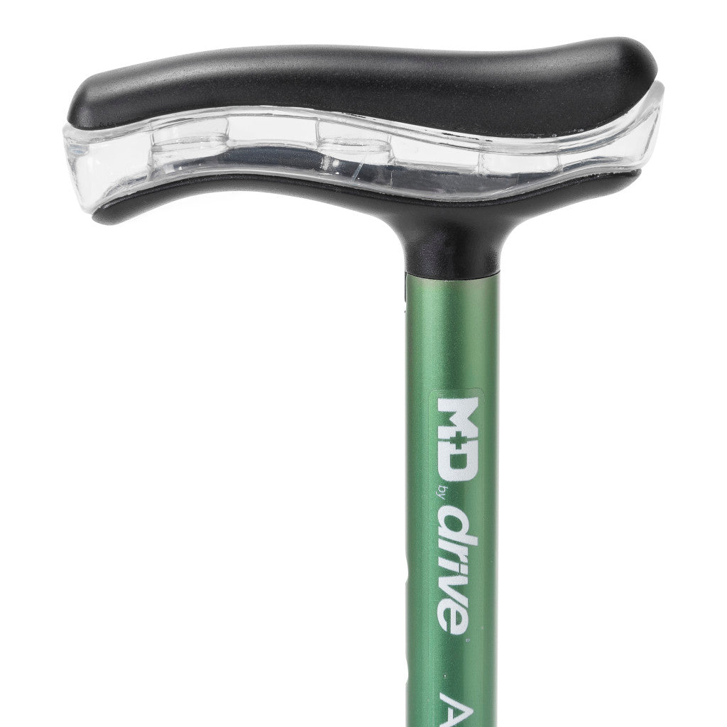 MD by Drive Air Cane, Forest
