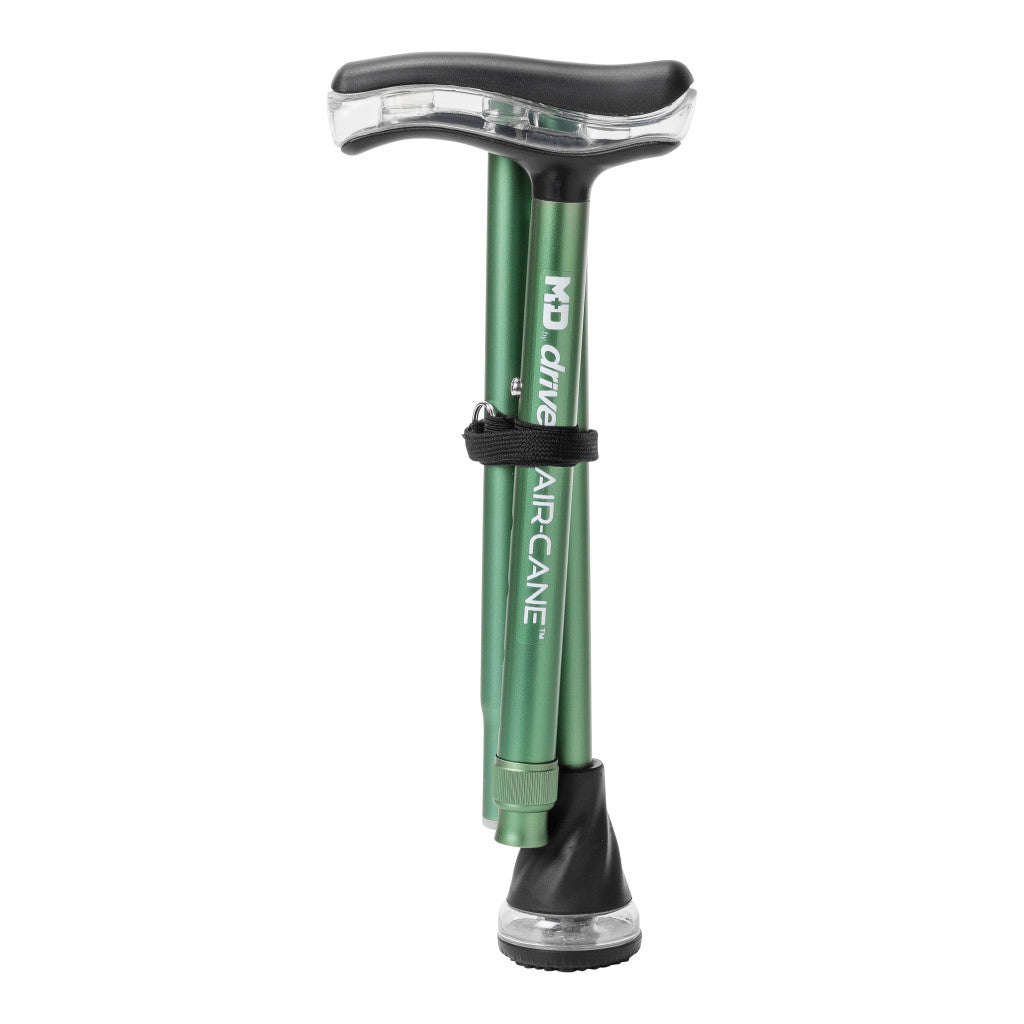 MD by Drive Air Cane, Forest