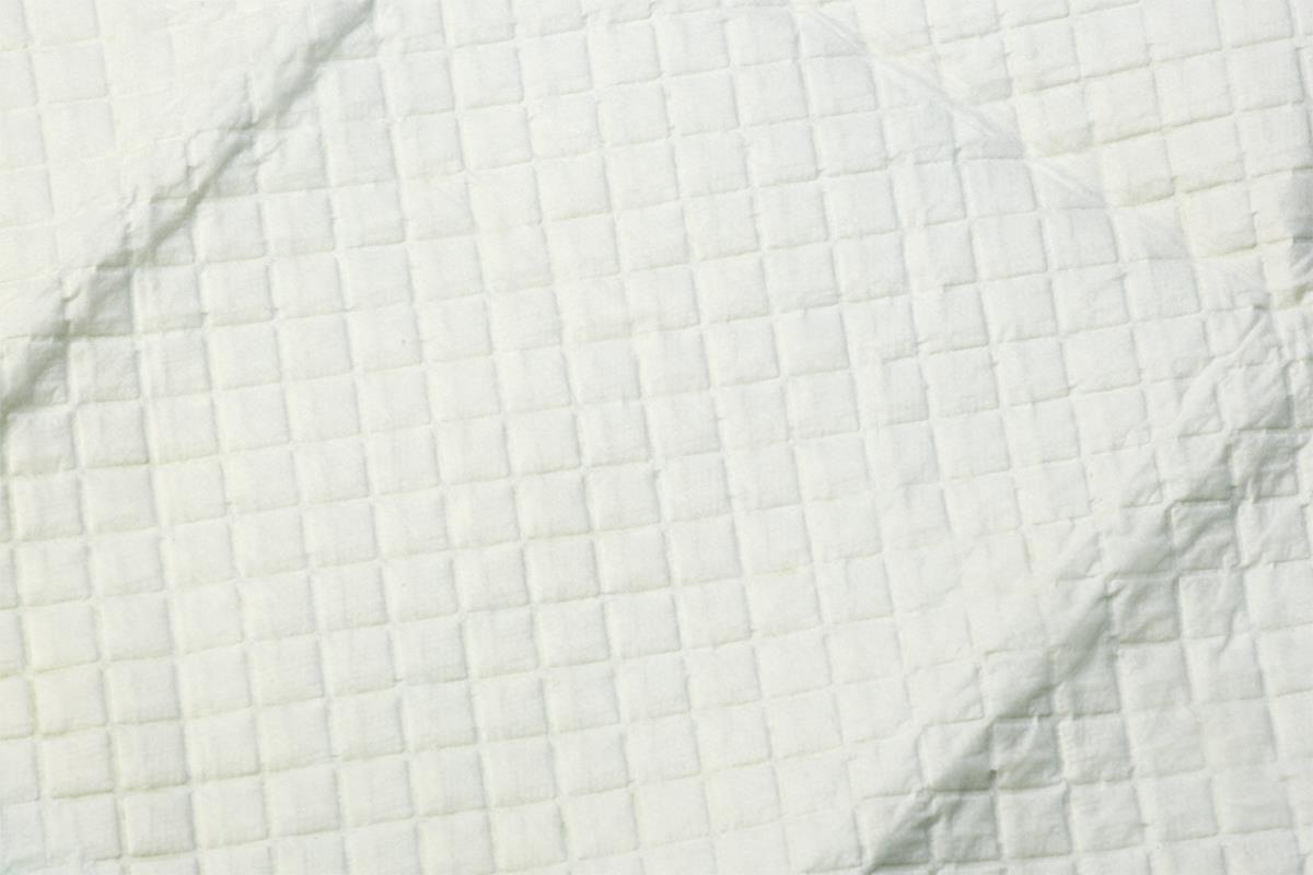 Protection Plus Underpad, Moderate Absorbency, 36" x 36" (bag of 5)