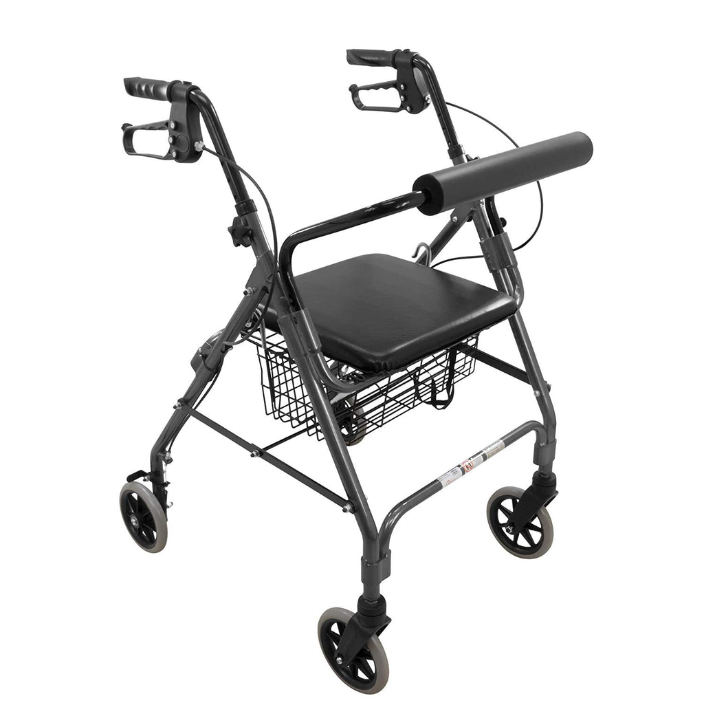 ProBasics Aluminum Rollator with 6” Wheels, Black